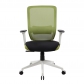 Mesh Ergonomic Office Chairs (8196-GREEN)