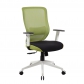 Mesh Ergonomic Office Chairs (8196-GREEN)